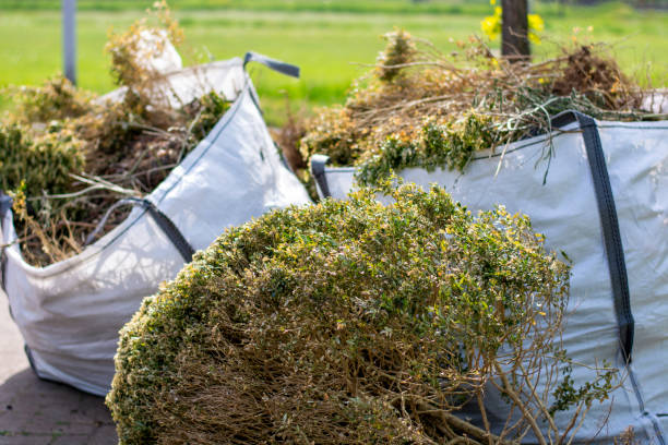 Best Same-Day Junk Removal  in Thorsby, AL